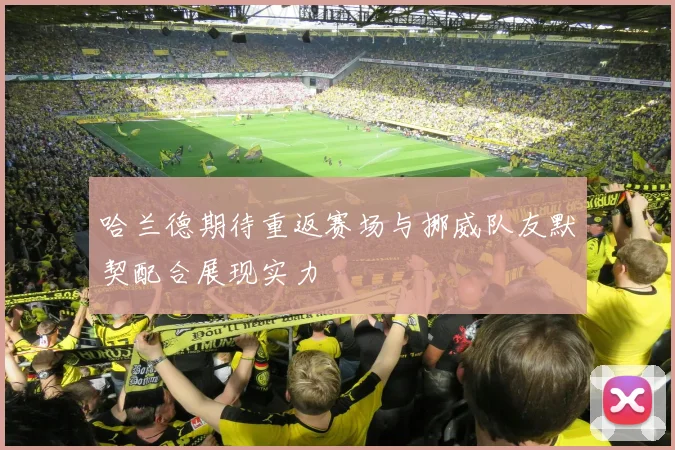哈兰德期待重返赛场与挪威队友默契配合展现实力